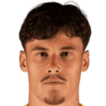 Mile Svilar