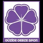 Güzide Gebzespor